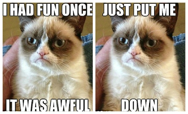 Gato rabugento' é o novo meme da web; conheça