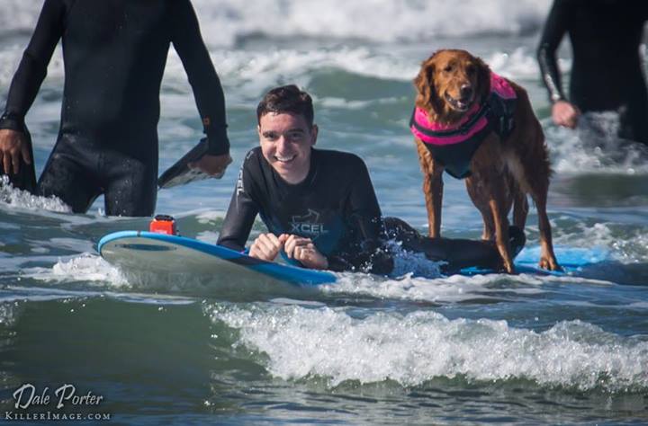 cao surfista com menino com cancer