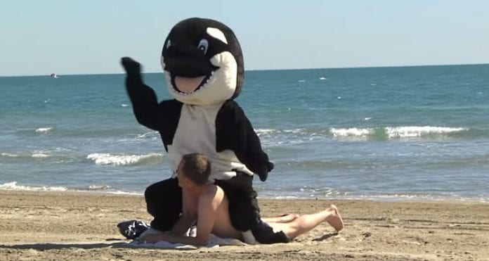 patas-ao-alto-defesa-bichos